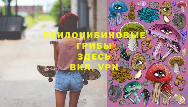 гидра Балахна