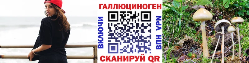 Галлюциногенные грибы Cubensis  Краснокаменск 